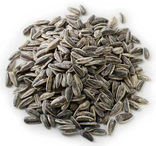 Roasted & Salted Sunflower Seeds (in Shell)