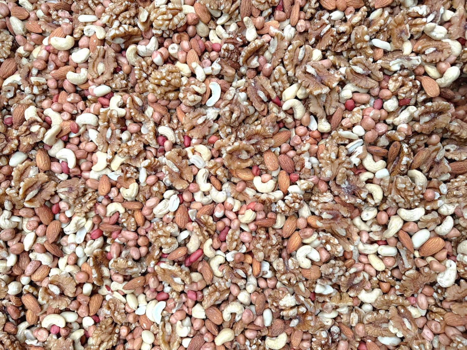 MIXED NUTS PEANUTS 1KG BULK RAW NATURL FOOD OR BIRDS SQUIRRELS WILDLIFE