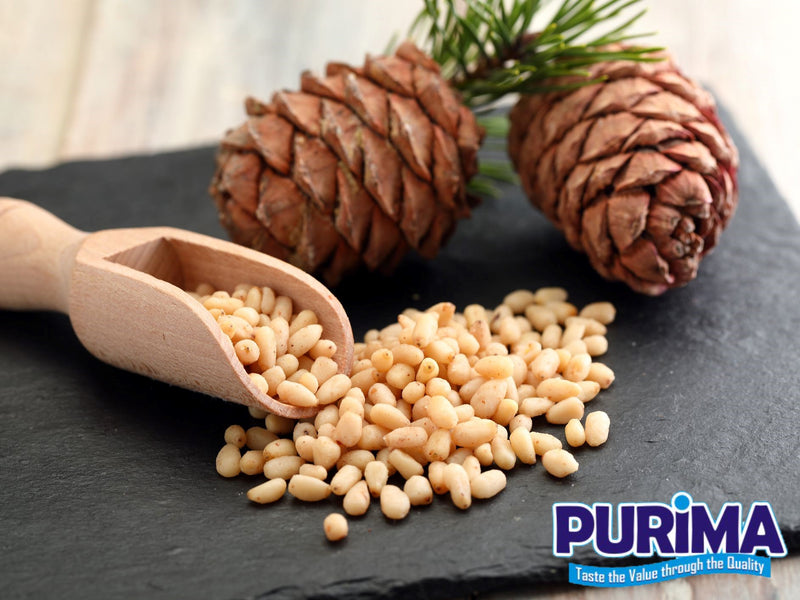 Pine Nut Kernels - Pine Nuts - PURIMA