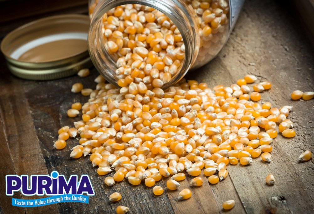 Popping Corn - Popcorn Kernels